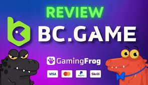 Tout ce que vous devez savoir sur BC Game FR