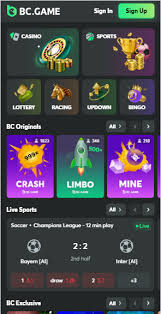 Exploring the World of BC.Game A Leading Crypto Casino