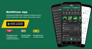 Exploring the BetWinner Gambling Platform in France 527772254